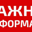 Правила направления средств материнского капитала на получение единовременной выплаты - Управление муниципальными учреждениями